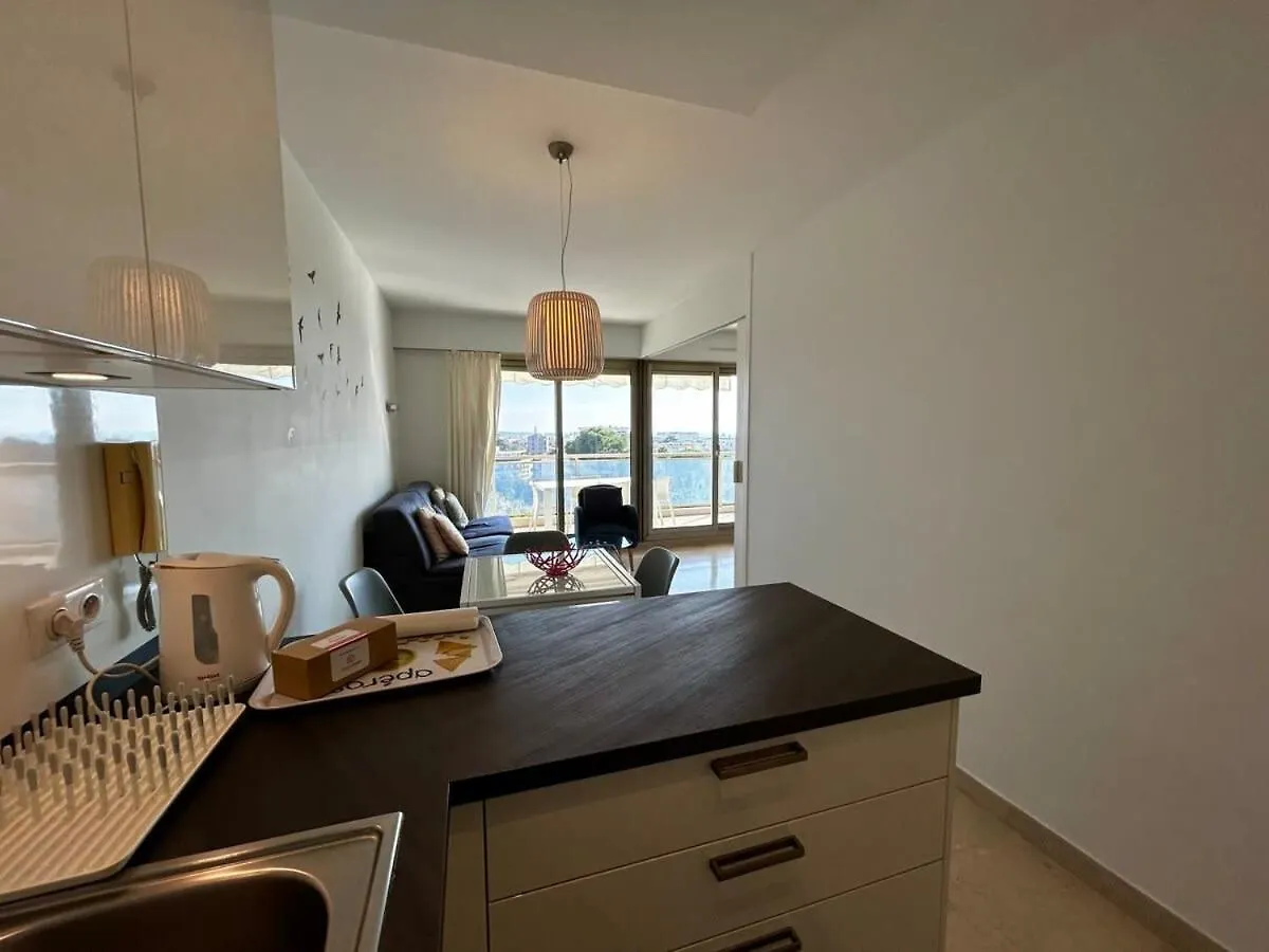 Daire A018-Large Studio With Sea View Swimming Pool Garage Cannes