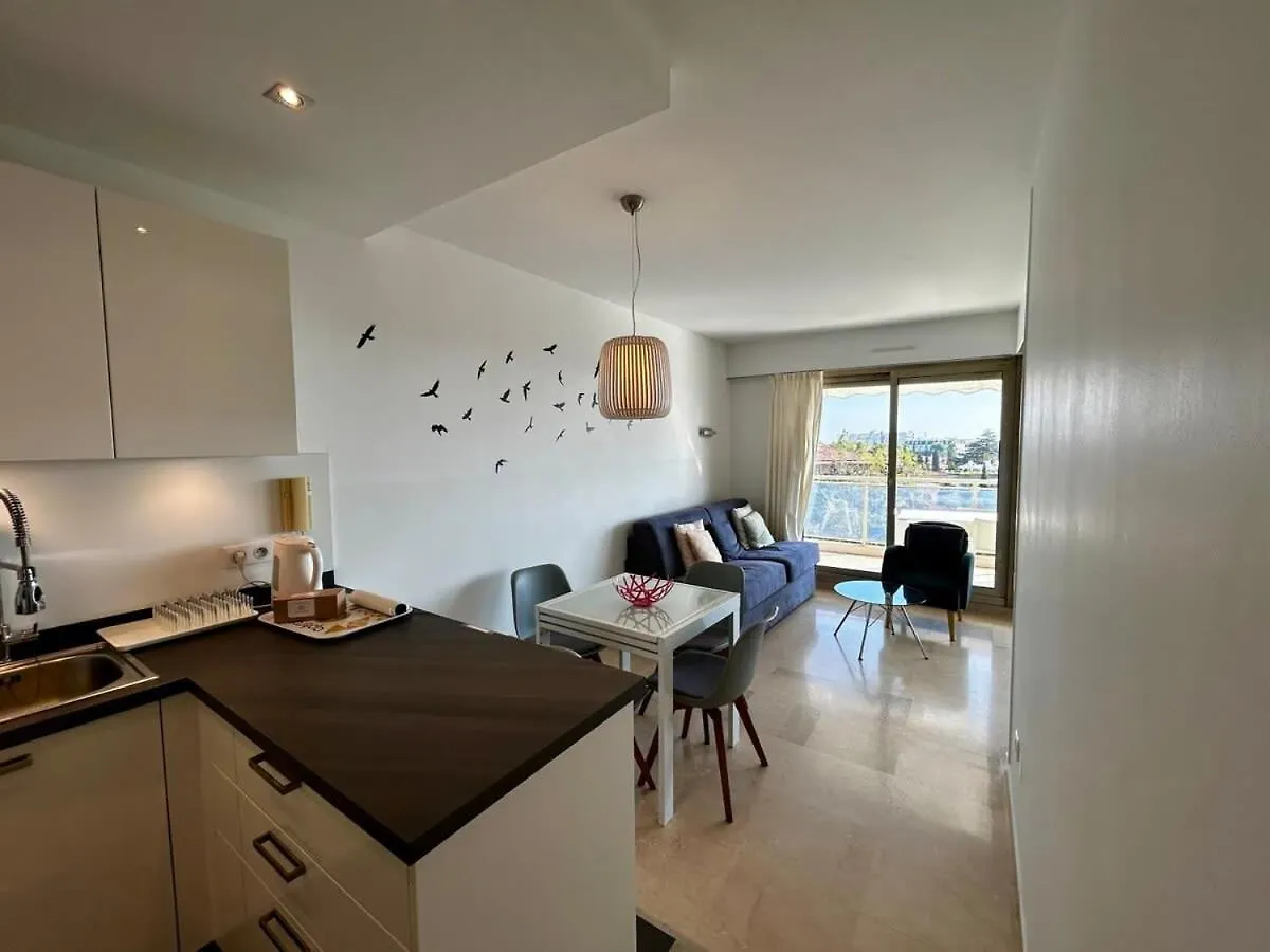 A018-Large Studio With Sea View Swimming Pool Garage Cannes Daire